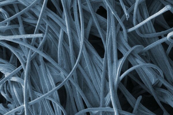 Fasern der Gesichtsmaske vor der Anwendung