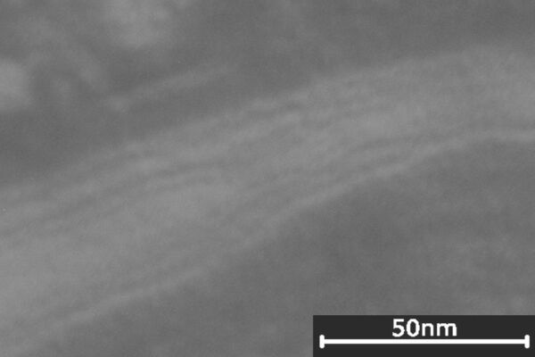 Lipidlamellen im S.corneum 24 h nach der Berauchung