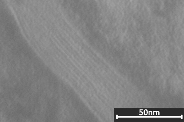 Lipidlamellen im S. corneum nach 14 Tagen mit einer Pflegecreme